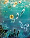 SCIENCES